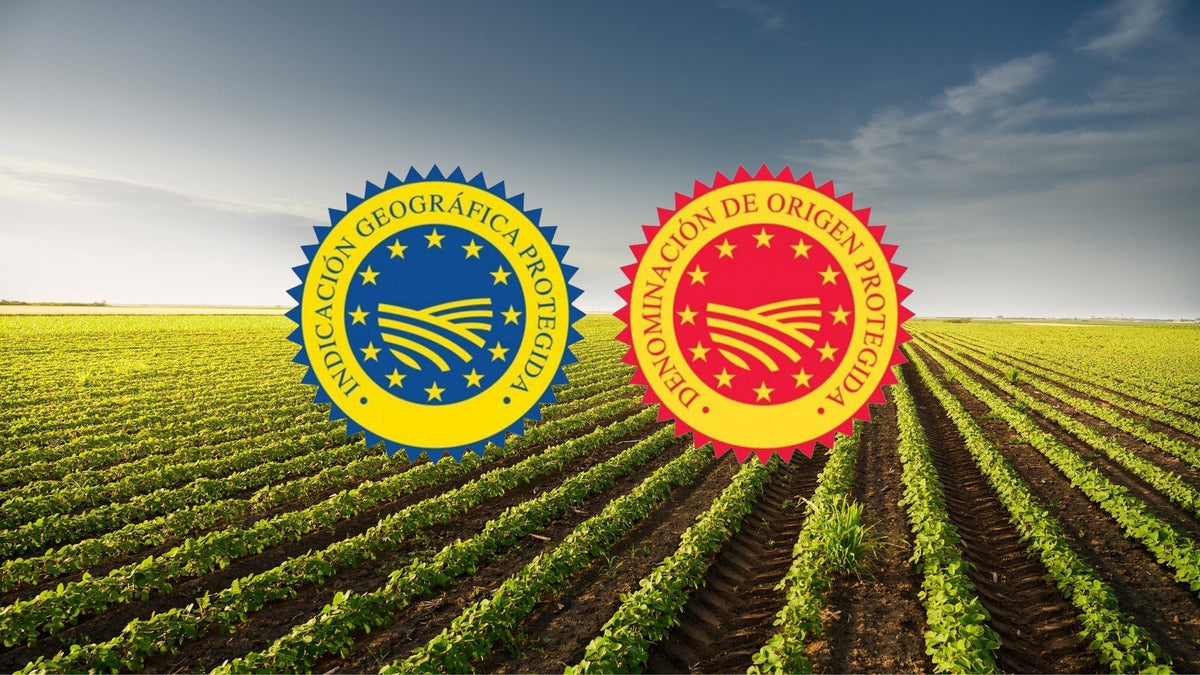 What are PDO and PGI in Spanish Gourmet Products?