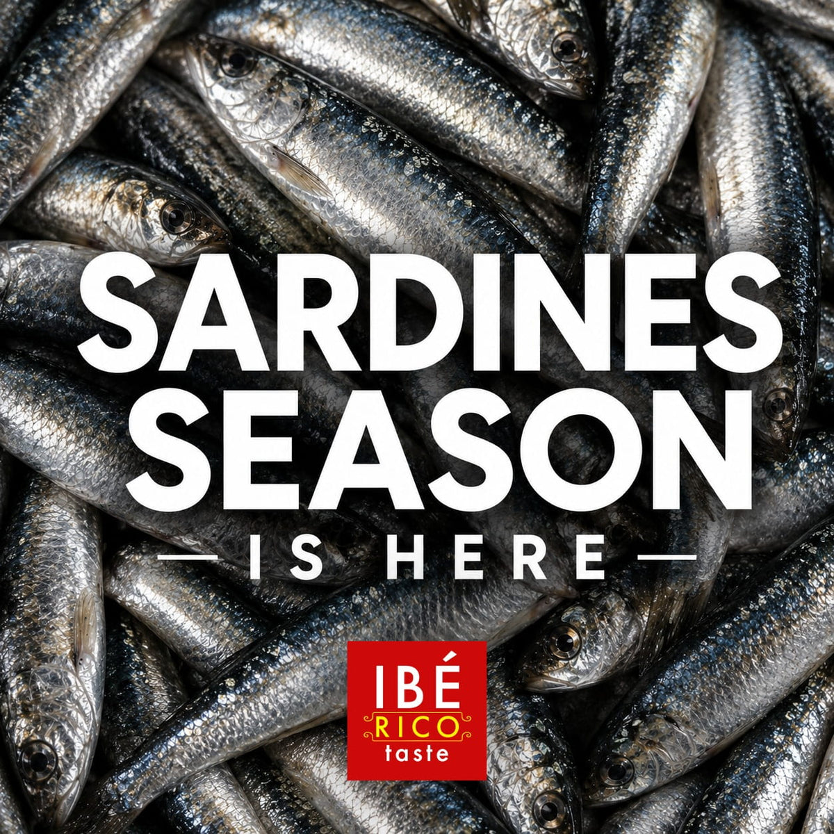 When Is Sardine Season? (And Why It Matters for Canned Sardines Too)