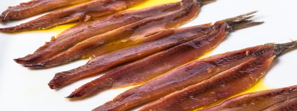 Cantabrian Anchovies – Spain’s Finest