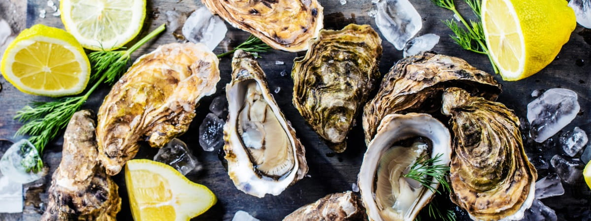 Premium Canned Oysters