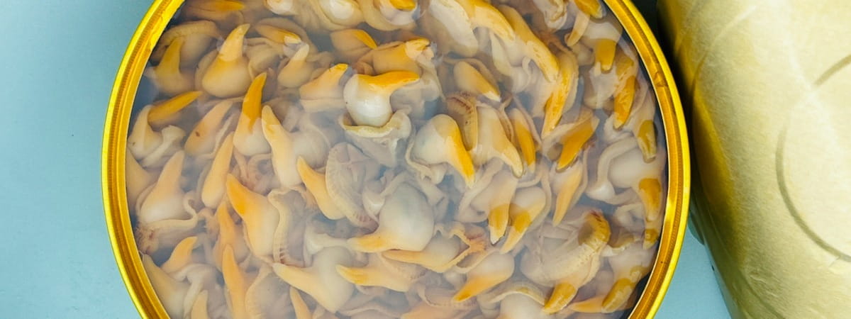 Cockles, Scallops & More
