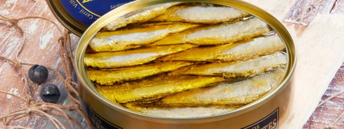 Premium Spanish Sardines – Handcrafted Conservas