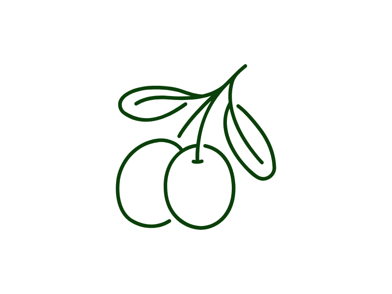 Outline of three olives with a branch on a green background